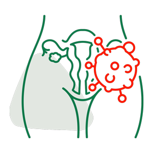 p5-2