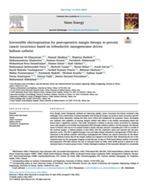 Irreversible electroporation for post-operative margin therapy to prevent cancer recurrence based on triboelectric nanogenerator driven balloon catheter