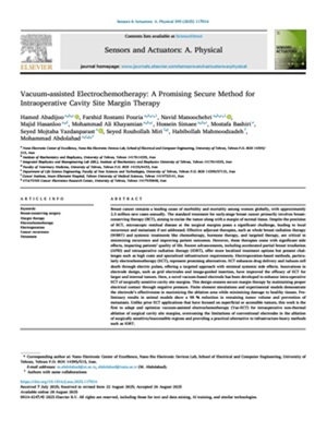 Vacuum-assisted Electrochemotherapy A Promising Secure Method for Intraoperative Cavity Site Margin Therapy
